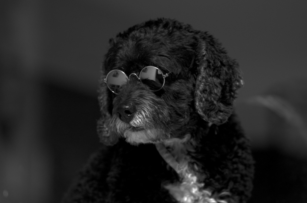 ダンディーにキメて