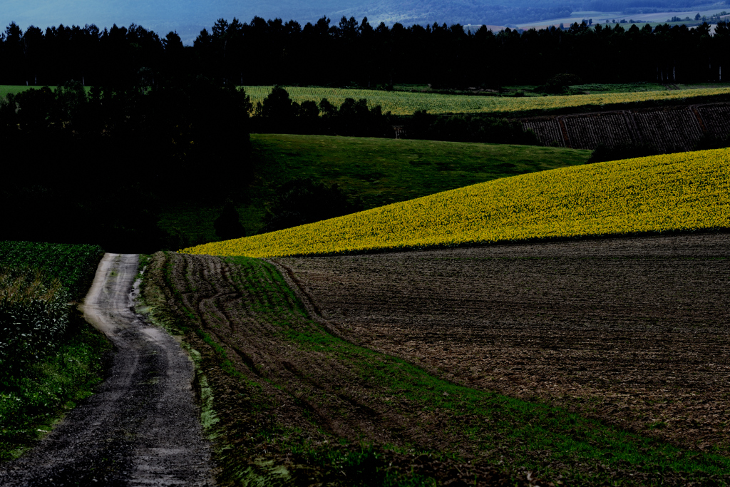 とびらのさきに