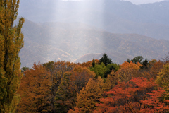 未知との遭遇