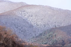 うっすらと雪化粧