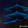 青い東寺