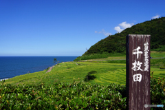 千枚田