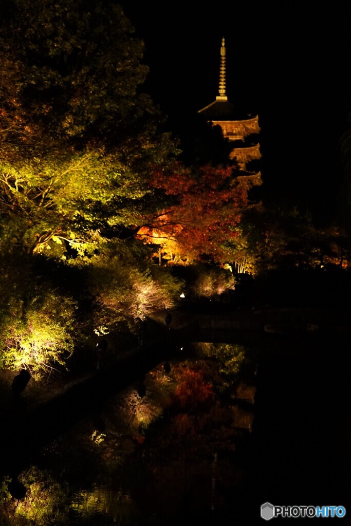 東寺ライトアップ