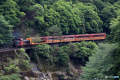 嵯峨野トロッコ列車