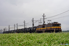 三岐鉄道