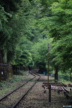 トロッコ保津峡駅