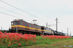 三岐鉄道