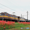 三岐鉄道