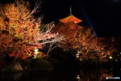 清水寺　秋の夜間特別拝観