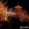 清水寺　秋の夜間特別拝観