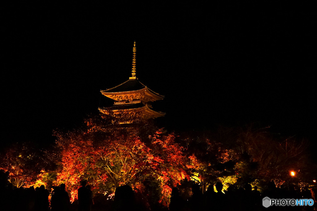 東寺ライトアップ