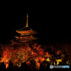 東寺ライトアップ