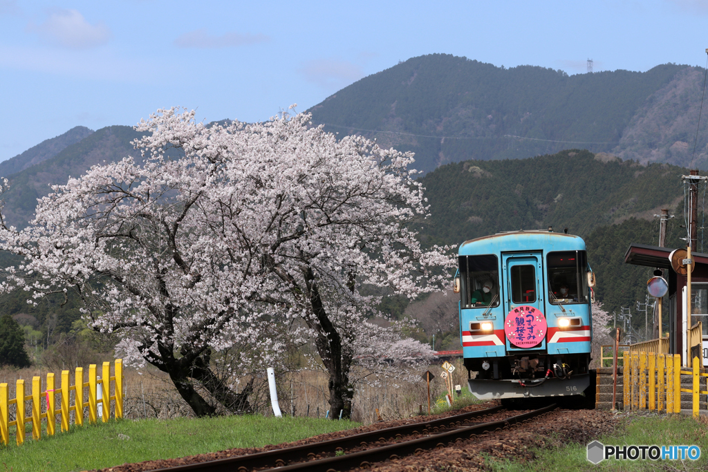 樽見鉄道