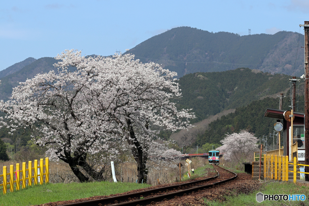 木知原駅