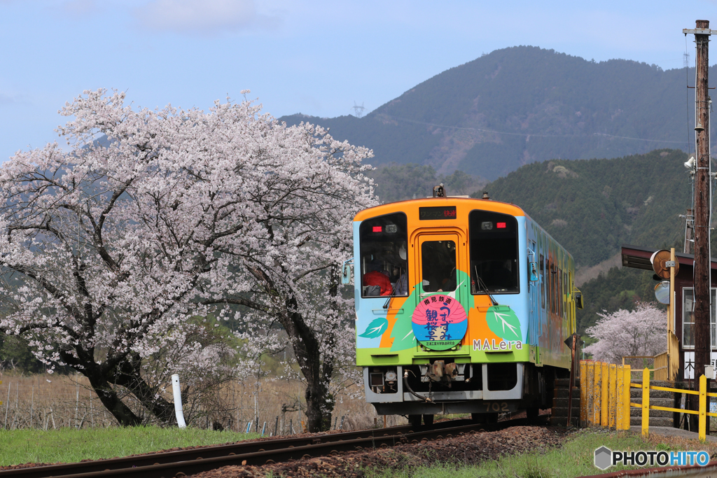 樽見鉄道