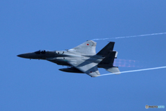 F15