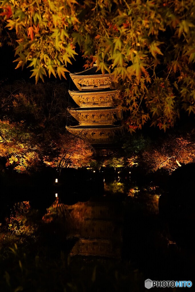 東寺ライトアップ