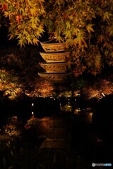 東寺ライトアップ