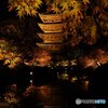 東寺ライトアップ