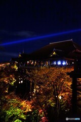 清水寺　秋の夜間特別拝観