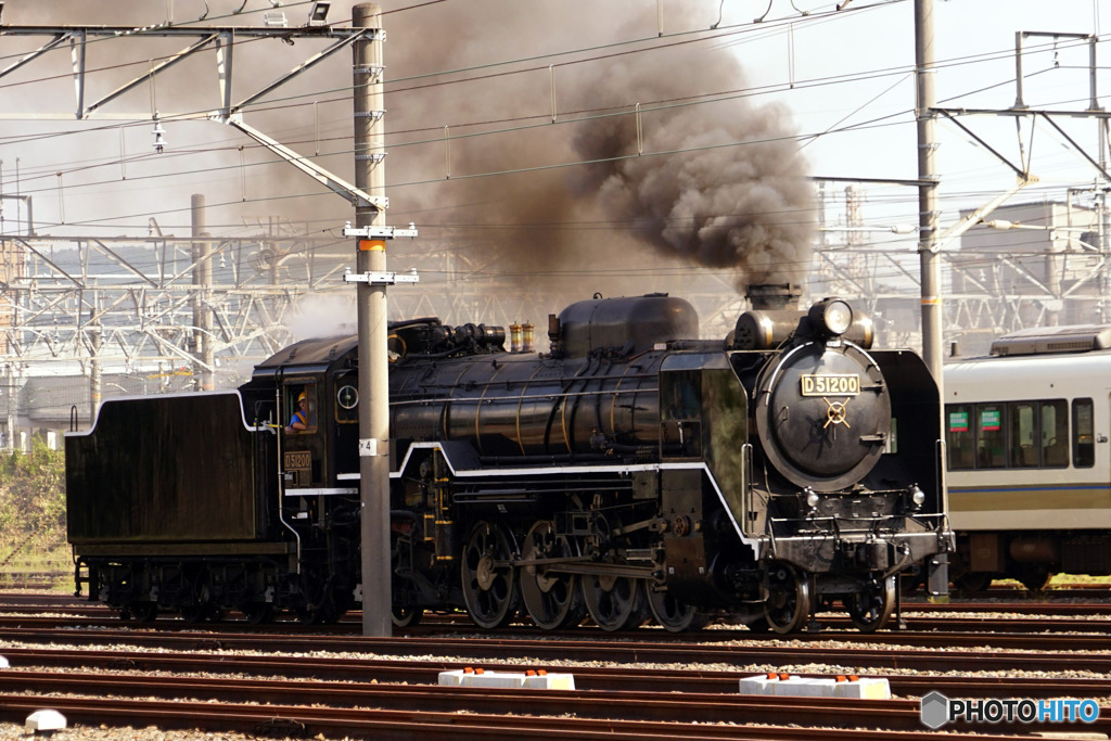 梅小路 D51-200