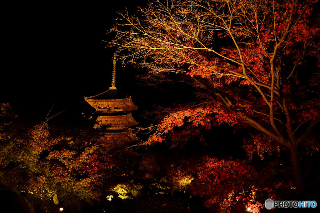 東寺ライトアップ