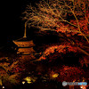 東寺ライトアップ