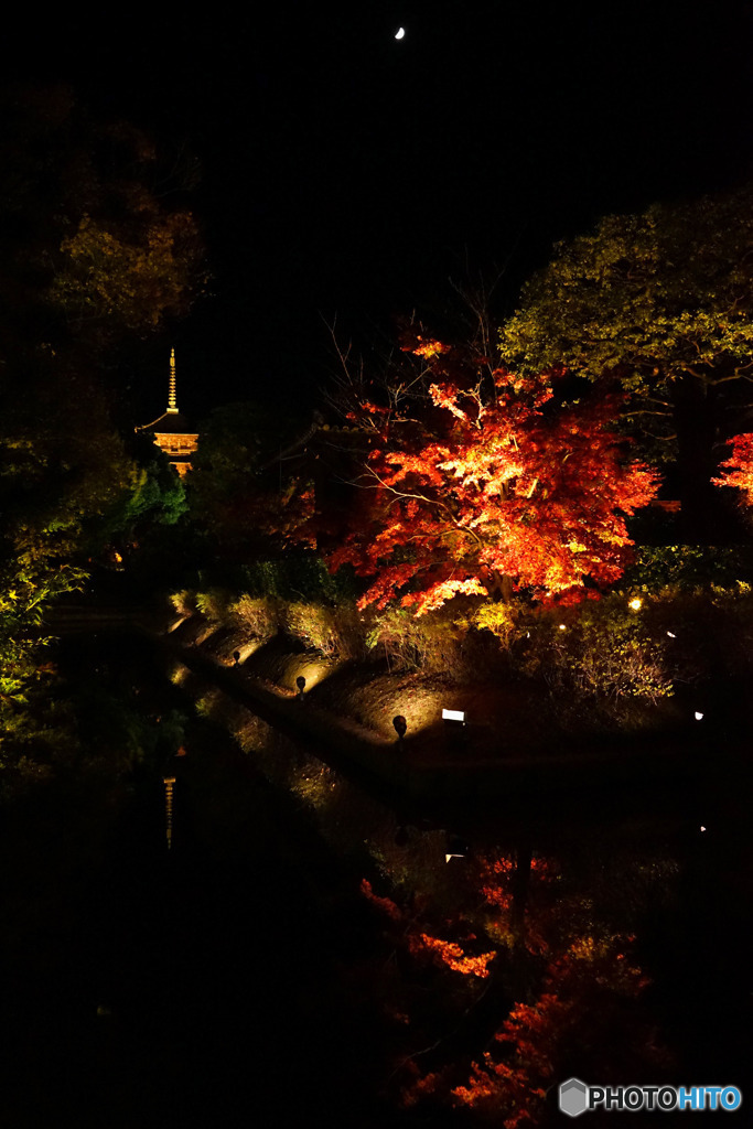 東寺ライトアップ
