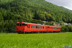 播但線