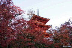 清水寺