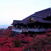 清水寺　紅葉