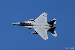 F15