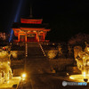 清水寺夜間拝観