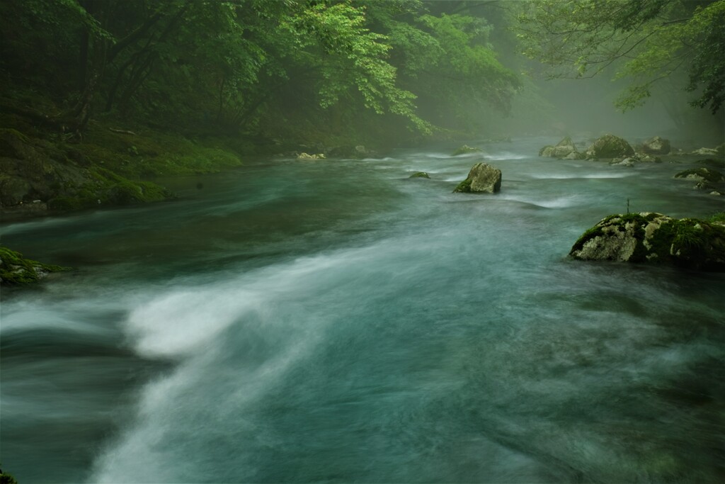 芹川清流