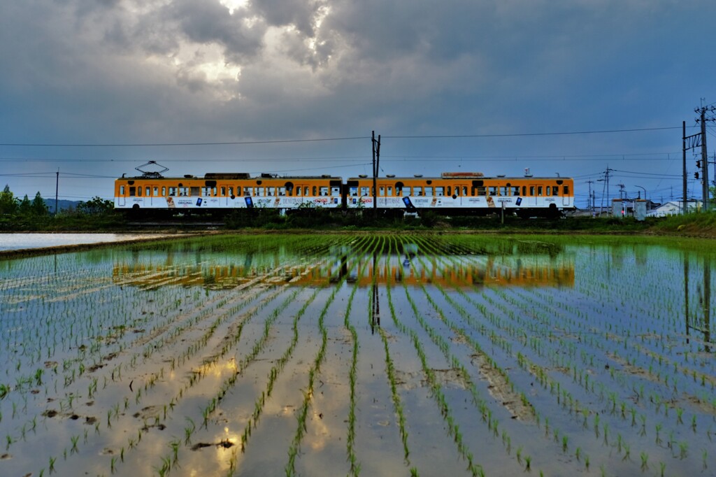 水田ガチャコン(近江鉄道)　４