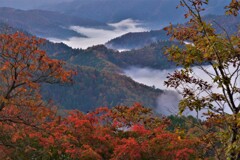 晩秋の小入峠雲海　Ⅳ