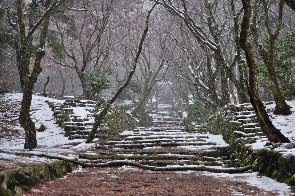 鶏足寺　雪景　５