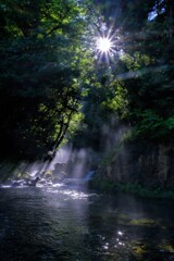 渓流芹川の朝