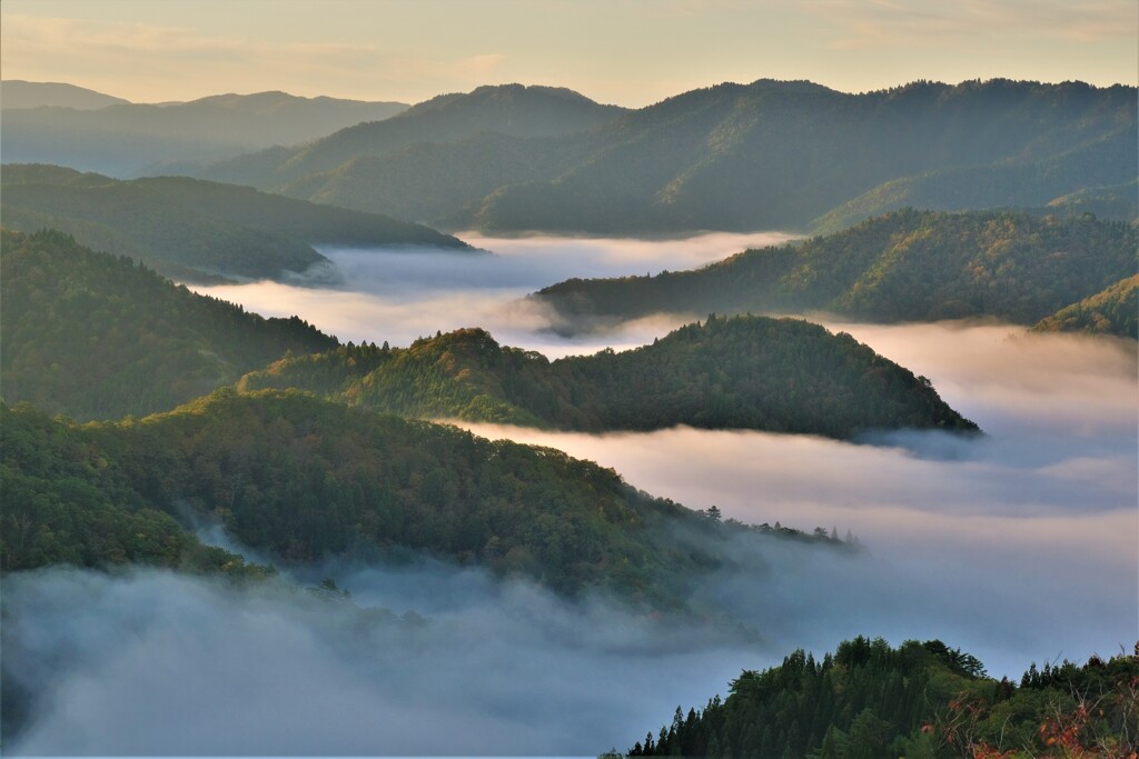 小入谷峠の朝景雲海　７