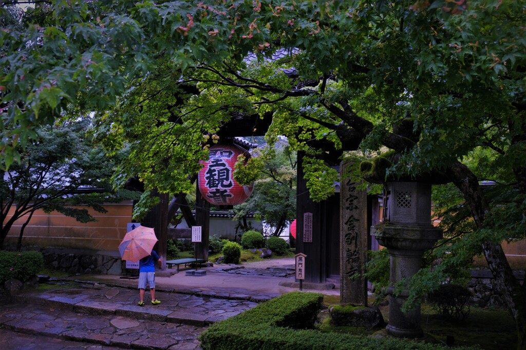 梅雨間の金剛輪寺　１