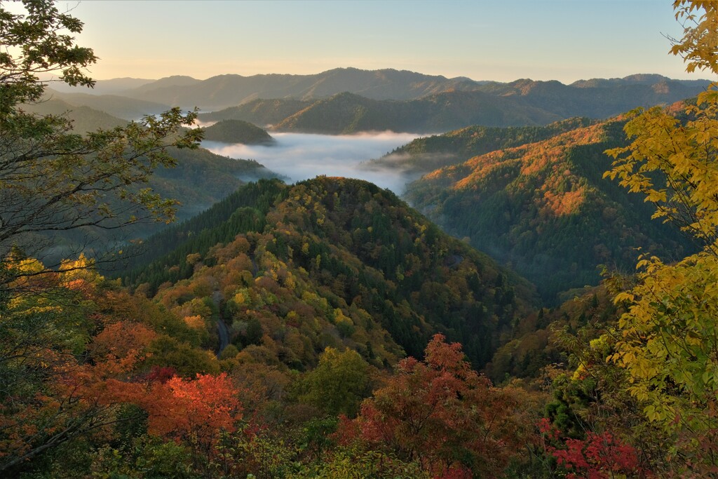 晩秋の小入峠雲海　Ⅶ