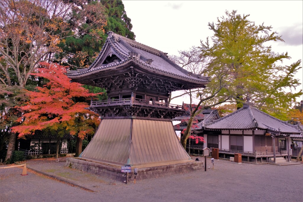 明智光秀ゆかりの西教寺　５