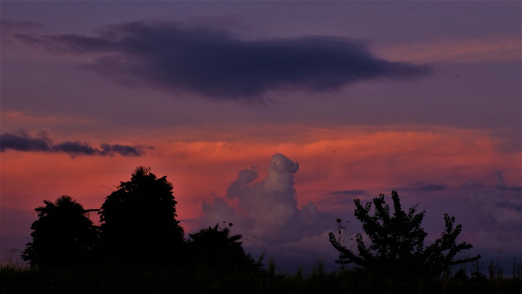 夕雲