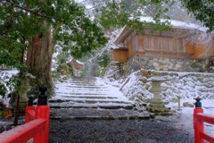 葛川明王院　参道雪景