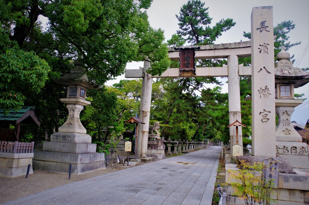 長浜八幡宮　５-５