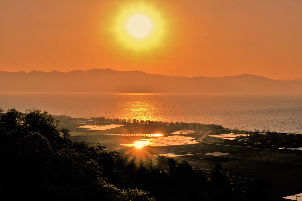 水辺の代田夕日