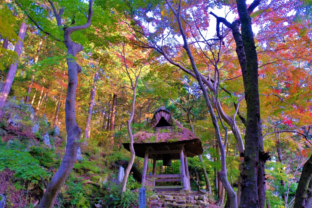 近江湖東の延寿寺　４-３