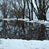 小さな森の水辺の冬物語　１