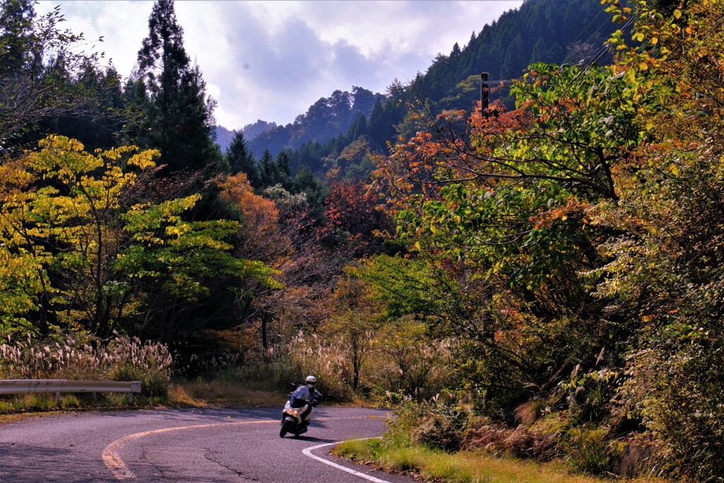 鈴鹿スカイライン秋景　１