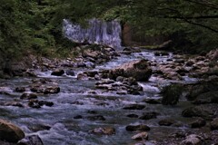 芹川の渓流　１